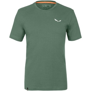 vaatteet Miehet T-paidat & Poolot Salewa Pure Dolomites Hamppu Miesten t-paita 28329-5320 Vihreä