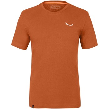 vaatteet Miehet T-paidat & Poolot Salewa Pure Dolomites Hemp Men's T-Shirt 28329-4170 Oranssi