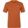 vaatteet Miehet T-paidat & Poolot Salewa Pure Dolomites Hamppu Miesten t-paita 28329-4170 Oranssi