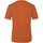 vaatteet Miehet T-paidat & Poolot Salewa Pure Dolomites Hamppu Miesten t-paita 28329-4170 Oranssi
