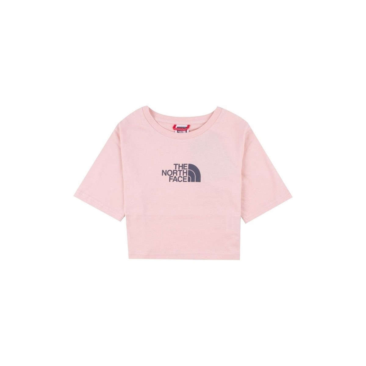 vaatteet Naiset T-paidat & Poolot The North Face GHYÈ_ BNHGG SS CROPPED GRAPHIC TEE Vaaleanpunainen