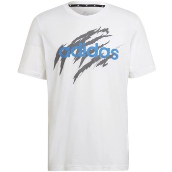 vaatteet Miehet Lyhythihainen t-paita adidas Originals Aeroready Sport Tee Valkoinen