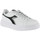 kengät Naiset Tennarit Diadora 101.178335 01 C1145 White/Black/Silver Valkoinen