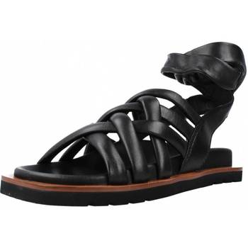 kengät Naiset Sandaalit ja avokkaat Elvio Zanon EQ0906X Musta