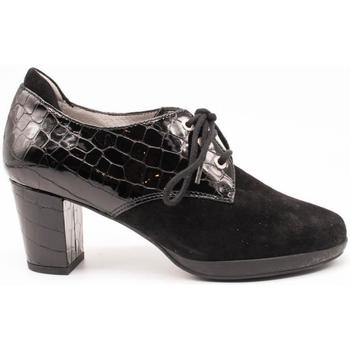 kengät Naiset Derby-kengät & Herrainkengät Drucker Calzapedic  Musta