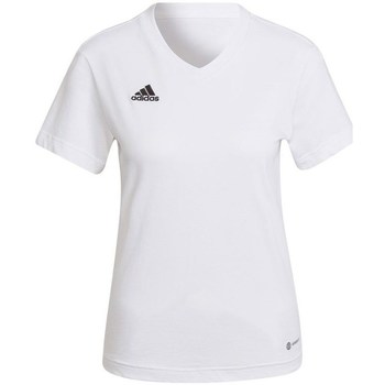 vaatteet Naiset Lyhythihainen t-paita adidas Originals Entrada 22 Tee W Valkoinen