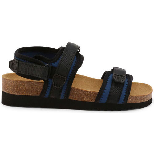 kengät Naiset Sandaalit ja avokkaat Scholl - naki-f27752 Sininen