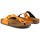 kengät Naiset Varvassandaalit Scholl - greeny-f28057 Oranssi