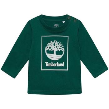 vaatteet Pojat Lyhythihainen t-paita Timberland  Vihreä