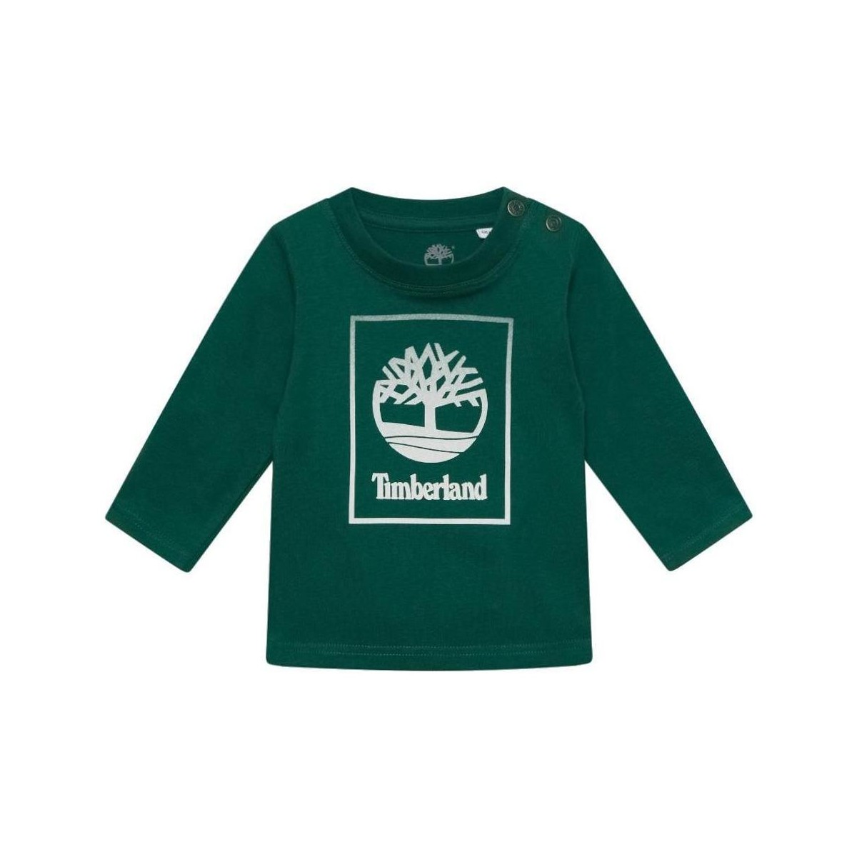 vaatteet Pojat Lyhythihainen t-paita Timberland  Vihreä