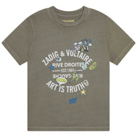vaatteet Pojat Lyhythihainen t-paita Zadig & Voltaire  Khaki