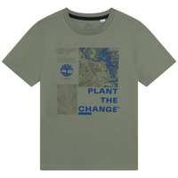vaatteet Pojat Lyhythihainen t-paita Timberland T25T87 Khaki
