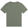 vaatteet Pojat Lyhythihainen t-paita Timberland T25T87 Khaki