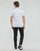 vaatteet Miehet Lyhythihainen t-paita Calvin Klein Jeans MICRO MONOLOGO TEE Valkoinen