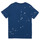 vaatteet Pojat Lyhythihainen t-paita Polo Ralph Lauren GRAPHIC TEE2-KNIT SHIRTS-T-SHIRT Laivastonsininen