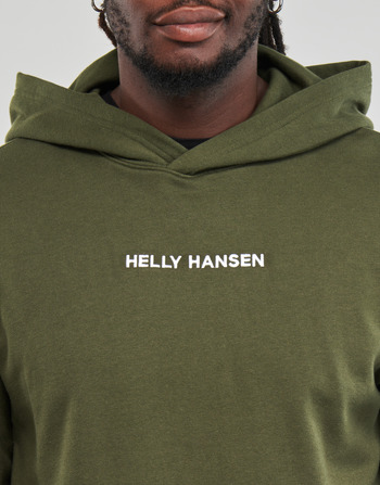 Helly Hansen CORE GRAPHIC SWEAT HOODIE Khaki