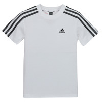 vaatteet Lapset Lyhythihainen t-paita Adidas Sportswear LK 3S CO TEE Valkoinen