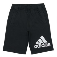 vaatteet Pojat Shortsit / Bermuda-shortsit Adidas Sportswear BL SHORT Musta
