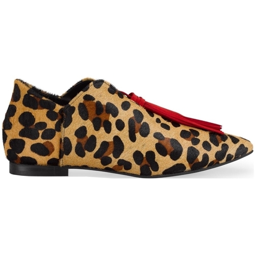 kengät Naiset Balleriinat Maray Blossom - Leopard Monivärinen