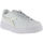 kengät Naiset Tennarit Diadora STEP P C6103 White/Silver Hopea
