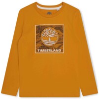 vaatteet Pojat Lyhythihainen t-paita Timberland T25U36-575-J Keltainen