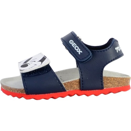 kengät Tytöt Sandaalit ja avokkaat Geox 205664 Sininen