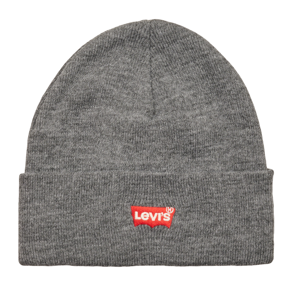 Asusteet / tarvikkeet Pipot Levi's RED BATWING EMBROIDERED SLOUCHY BEANIE Harmaa