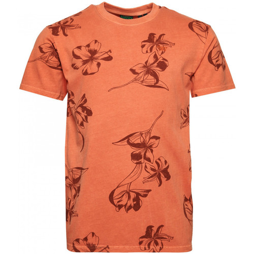 vaatteet Miehet T-paidat & Poolot Superdry Vintage od printed Oranssi