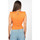 vaatteet Naiset Topit / Puserot Pinko 1G76G 1834 | Trezzo Blusa Oranssi
