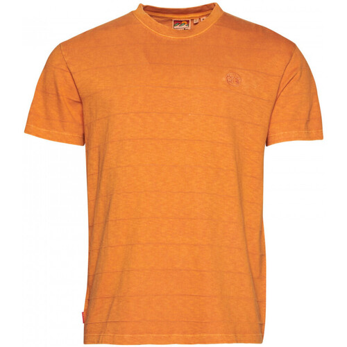 vaatteet Miehet T-paidat & Poolot Superdry Vintage texture Oranssi