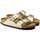 kengät Naiset Sandaalit ja avokkaat Birkenstock Arizona BS Kulta