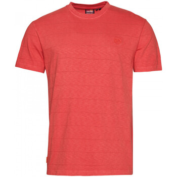 vaatteet Miehet T-paidat & Poolot Superdry Vintage texture Vaaleanpunainen