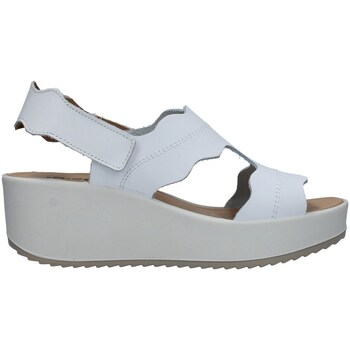 kengät Naiset Sandaalit ja avokkaat IgI&CO 3667333 Valkoinen