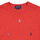 vaatteet Lapset Lyhythihainen t-paita Polo Ralph Lauren SS CN-KNIT SHIRTS-T-SHIRT Punainen