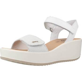 kengät Naiset Sandaalit ja avokkaat IgI&CO 3667111 Valkoinen