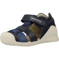 kengät Pojat Sandaalit ja avokkaat Biomecanics 232146B Sininen