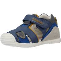 kengät Pojat Sandaalit ja avokkaat Biomecanics 232147B Sininen