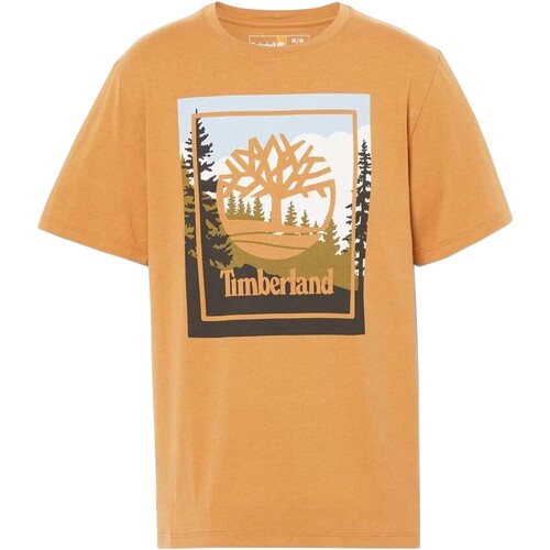 vaatteet Miehet Lyhythihainen t-paita Timberland 212160 Keltainen