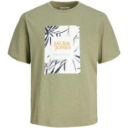 vaatteet Miehet Lyhythihainen t-paita Jack & Jones  Vihreä