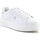kengät Naiset Matalavartiset tennarit Fila Crosscourt Altezza F Wmn FFW0212-13199 Valkoinen