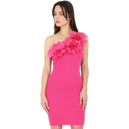 vaatteet Naiset Mekot La Modeuse 66289_P153988 Vaaleanpunainen
