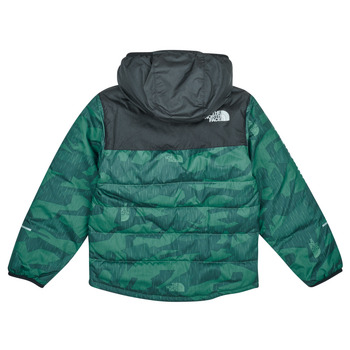 The North Face Boys Never Stop Synthetic Jacket Vihreä
