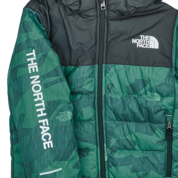 The North Face Boys Never Stop Synthetic Jacket Vihreä