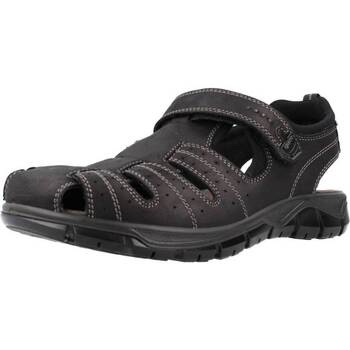 kengät Miehet Sandaalit ja avokkaat IgI&CO 3641200 Musta