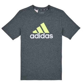 vaatteet Pojat Lyhythihainen t-paita Adidas Sportswear BL 2 TEE Harmaa / Valkoinen / Vihreä