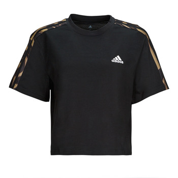 vaatteet Naiset Lyhythihainen t-paita Adidas Sportswear VIBAOP 3S CRO T Musta / Kulta