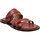 kengät Naiset Sandaalit ja avokkaat Sartore 19ESR3551 Punainen