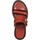 kengät Naiset Sandaalit ja avokkaat Sartore 19ESR3551 Punainen