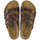 kengät Naiset Sandaalit ja avokkaat Birkenstock Florida Ruskea