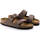 kengät Naiset Sandaalit ja avokkaat Birkenstock Arizona BS Ruskea